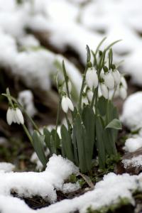 Photo by Karpati Gabor