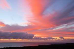 Photo by Rose Braverman 