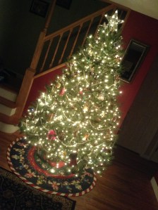 Just see how it sparkles | Photo by nicholeq.wordpress.com