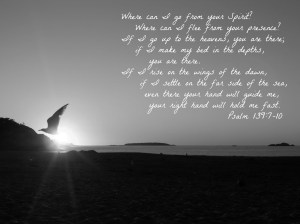 Photo by J.Perreault. Used with permission. 