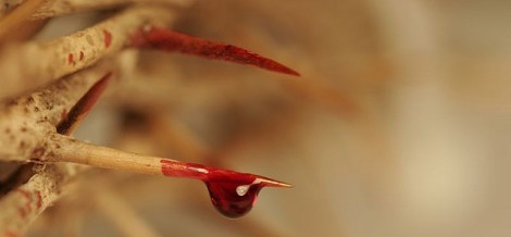 Photo by Doug1021 | CC BY 2.0 License 