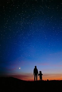 Photo by Sanyamshri | CC BY-SA 3.0