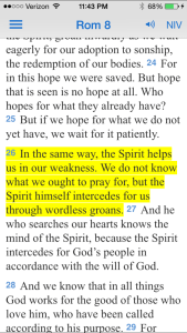 Photo by N. Perreault