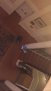 Desperate for wifi; PC: Jacquelyn