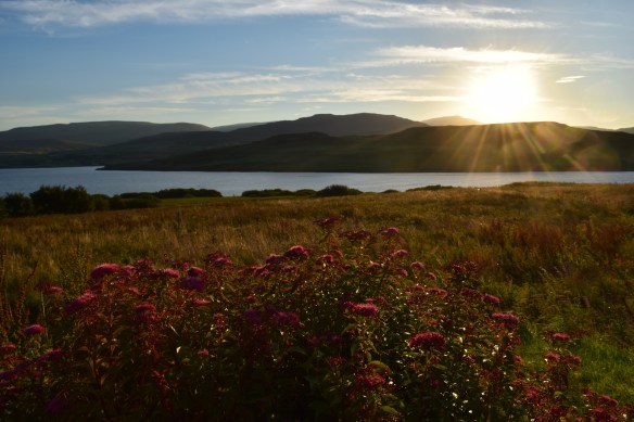 In case you're still not convinced...